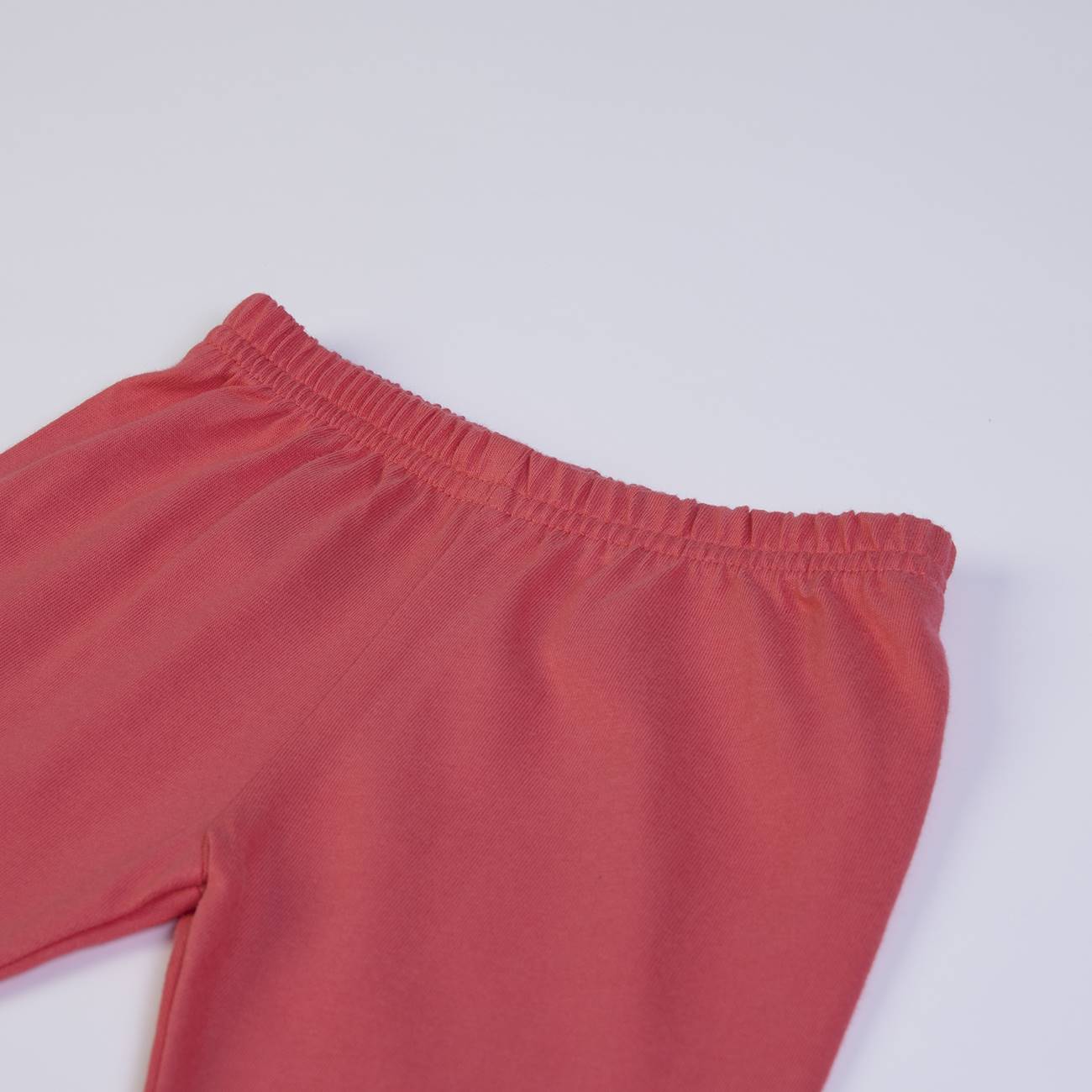 Ladybug T-shirt & leggings